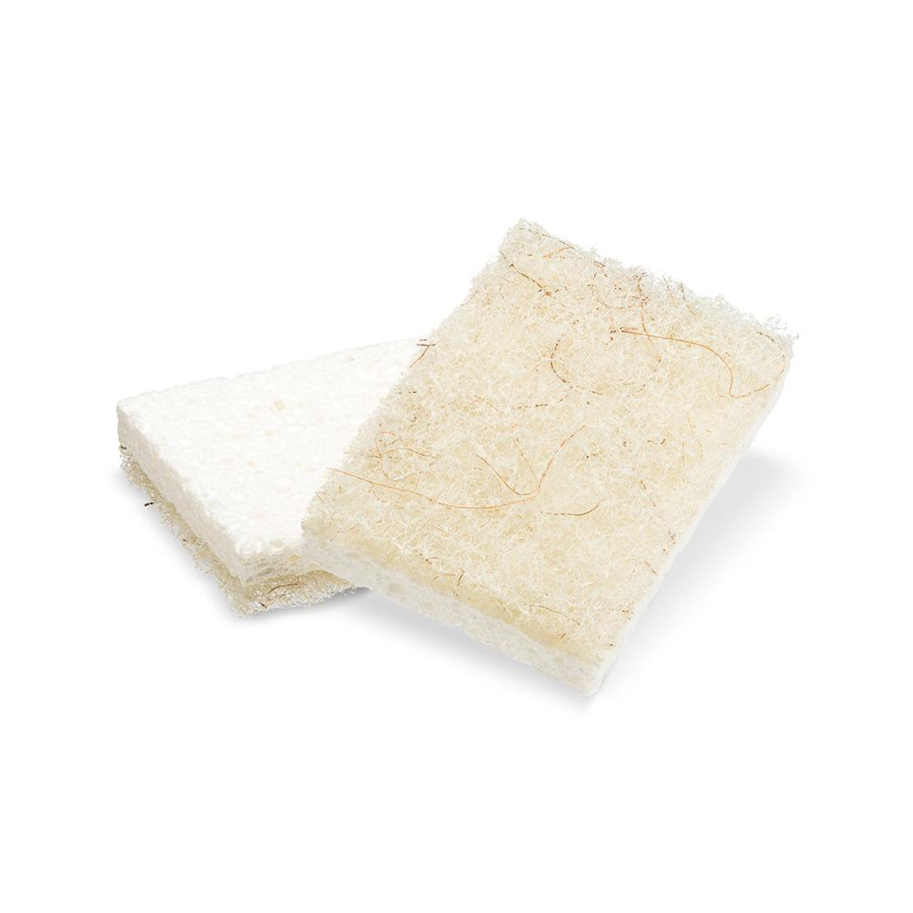 Sponge with Scourer