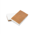 Sponge with Scourer